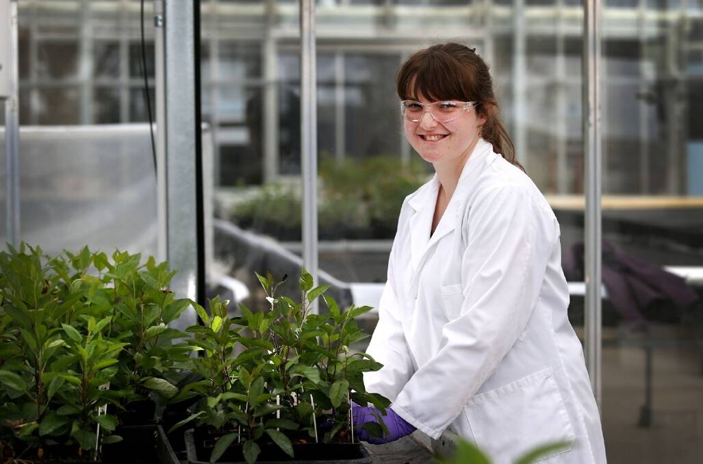Maddie Francis pictured working at Dow AgroSciences’ Waireka Global Discovery Research Station in New Zealand.