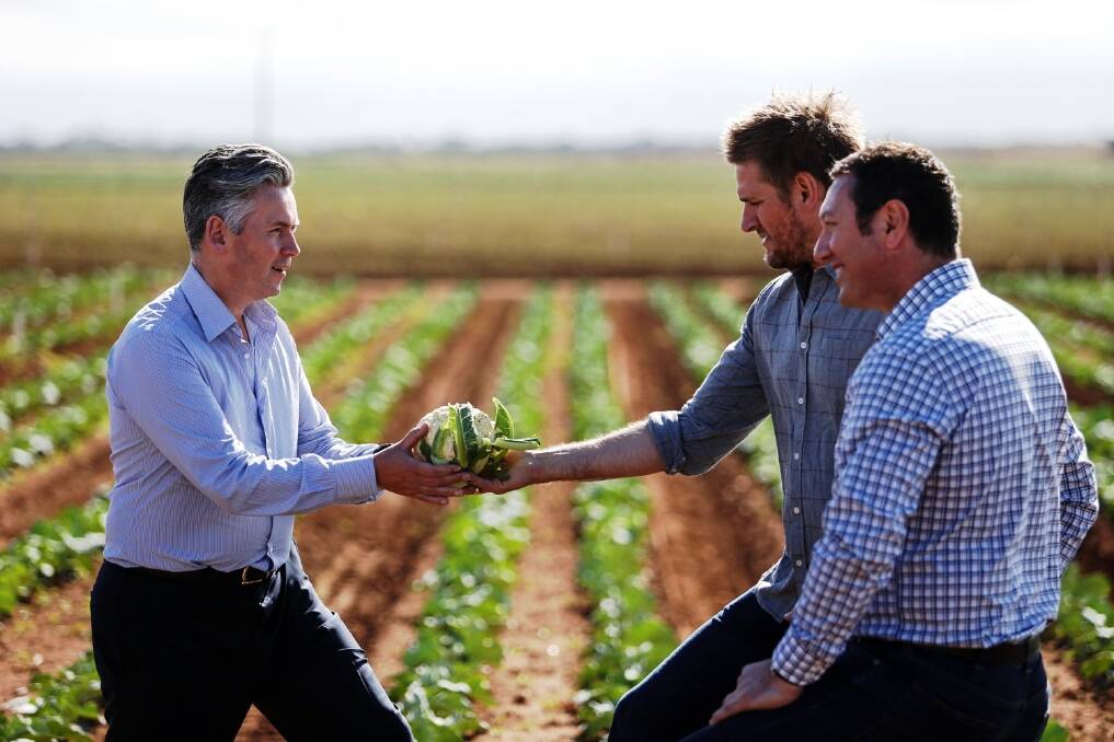 Coles managing director, John Durkan, celebrity chef Curtis Stone, and John Said, CEO of Fresh Select, at the launch of the $50 million Coles Nurture Fund.