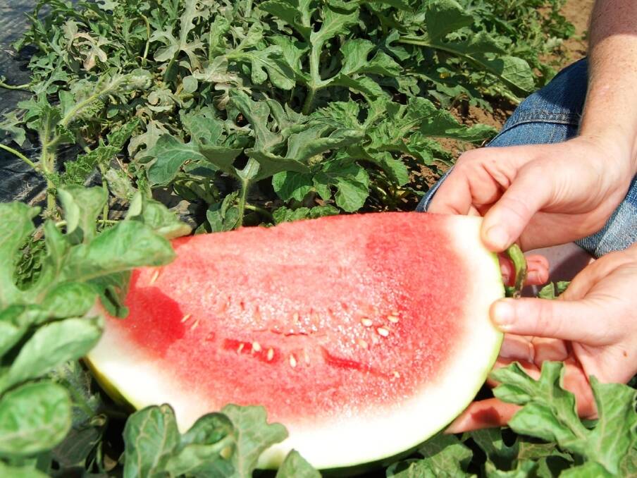 Melon levies get vote of approval