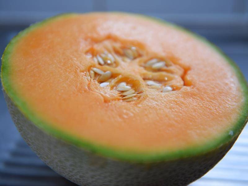 Federal Labor say Australians haven't been reassured over the recent rockmelon listeria outbreak.