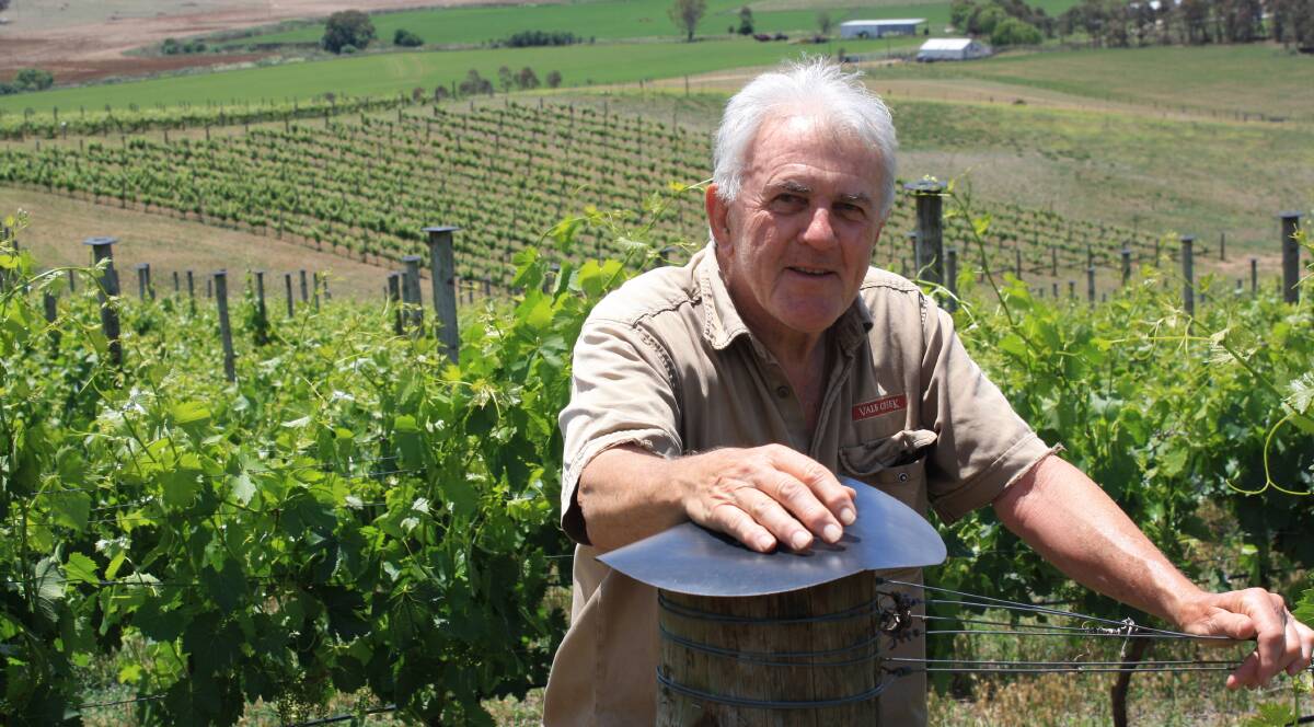 WINE TIME: Tony Hatch, Vale Creek Wines, Bathurst, specialises in growing cool climate Italian wines. This includes a delicious Dolcetto, which is used in his partner Liz McFarland's mulled wine recipe.