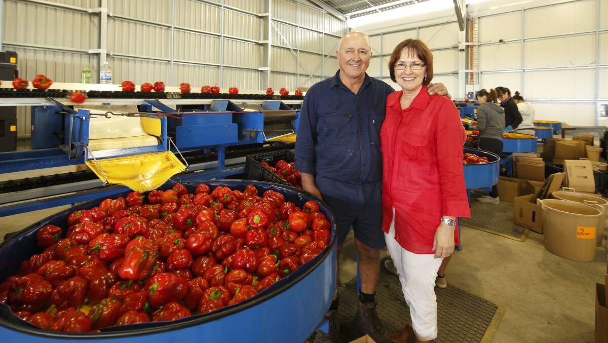 Diversification: Des and Paula Chapman from Rocky Ponds, Bowen, also produce capsicums and other crops alongside the pumpkins. 