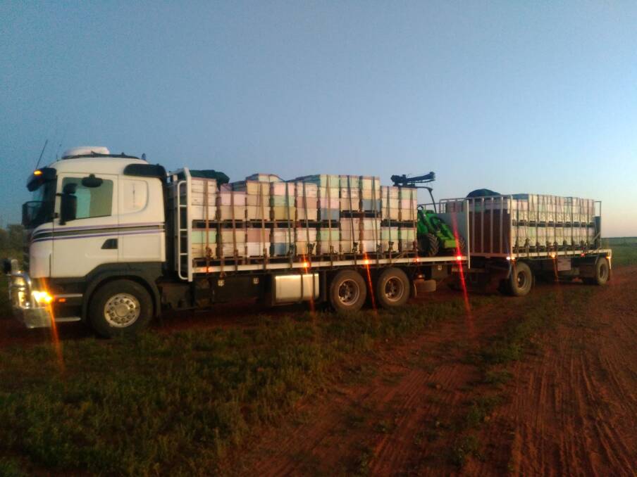 Lachlan Rasmussen's truck and trailer loaded with bee hives on location near Toompine, near Quilpie. 