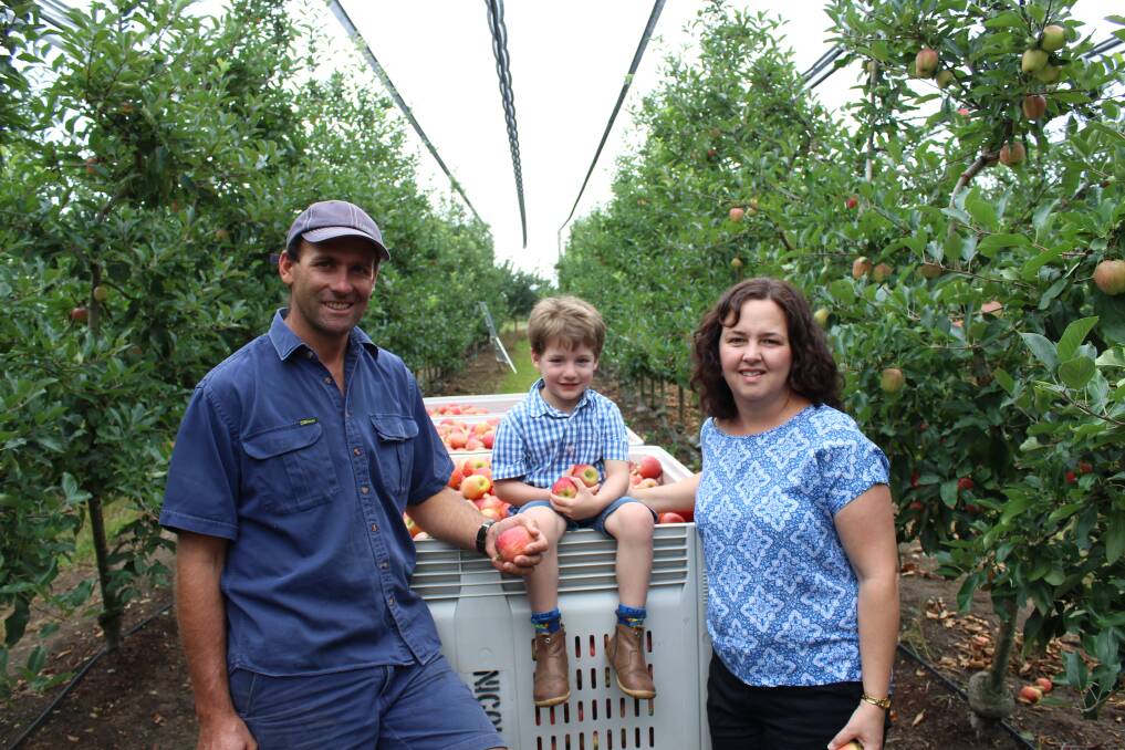 Daniel and Toni Nicoletti with their son Sean, Nicoletti Orchard, Posieres. Picture: Divine Fruits