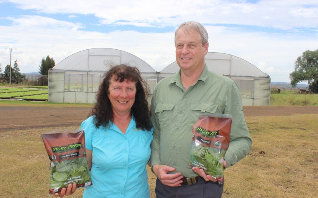 SALAD DAYS: Cambooya's Geoffrey and Anne Story with fresh-cut salad products which have now been sent to Asia. Picture: Helen Walker.