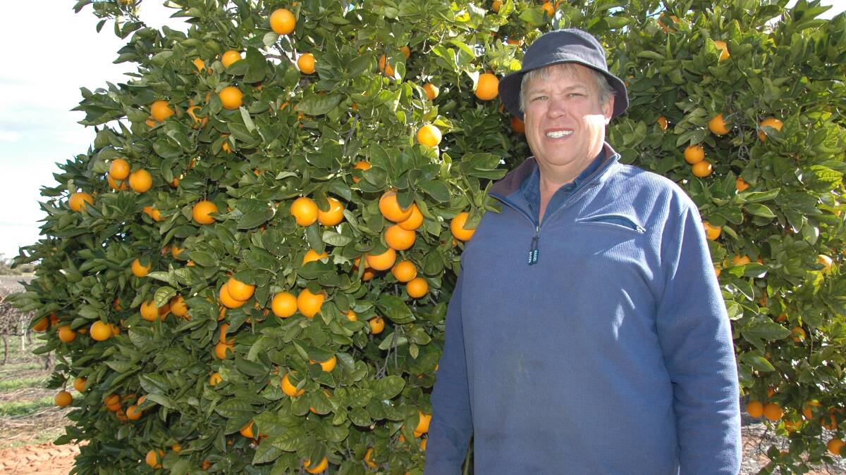 SIGNIFICANT YEAR: Riverland Field Days committee member and Waikerie fruit grower Anthony Fulwood is looking forward to the 60th annual field day on September 15 and 16.