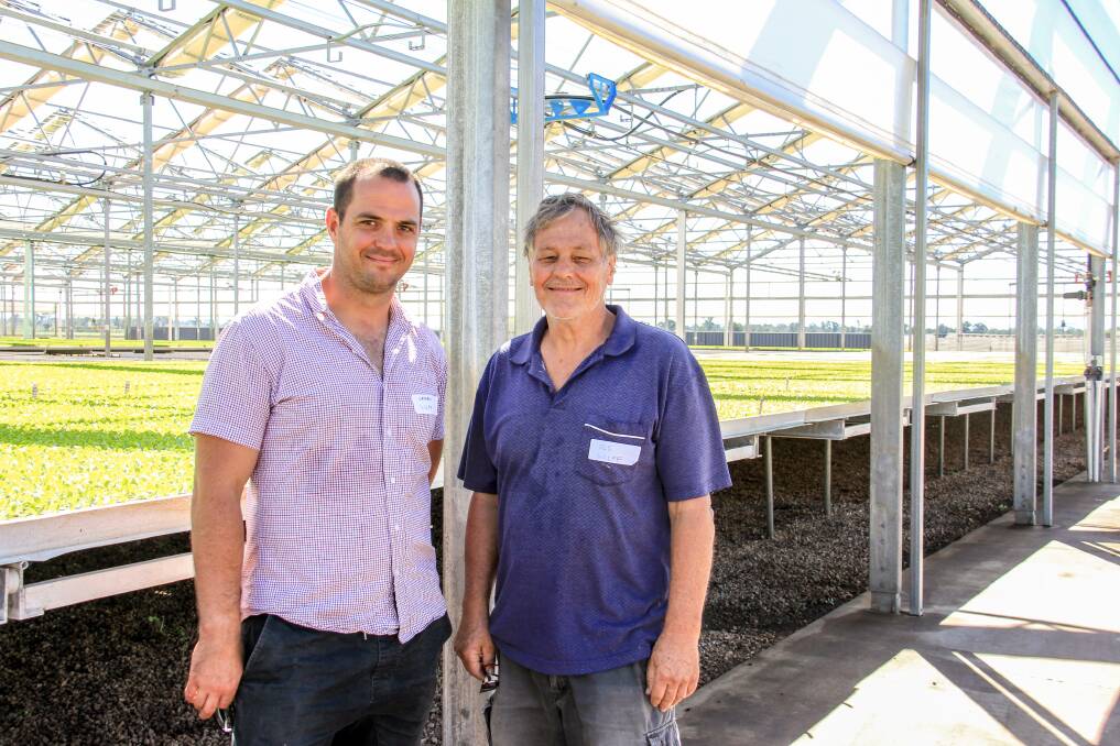 SMALL START: Nathan and Ole Wulff, Churchable have just purchased a property and have started growing organic produce in a small greenhouse. 