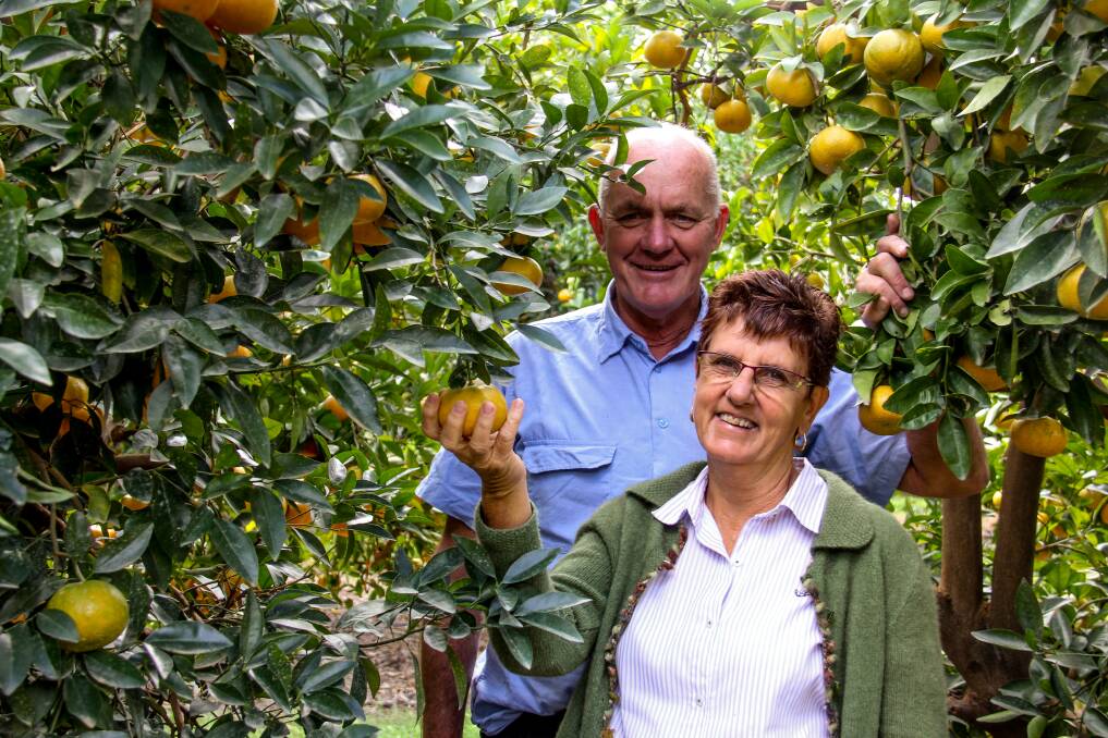 AID ABROAD: Allen and Susan Jenkin, Ironbark Citrus, Mundubbera, have established Ironbark Lao, a business growing and building citrus farms in Laos. Pictures: Lucy Kinbacher