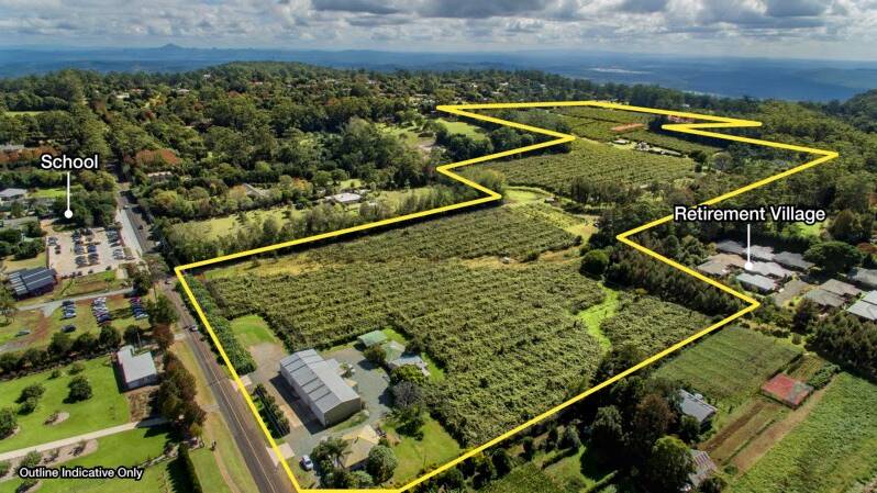 JUNE 30 AUCTION: Sandy Creek Orchard is on 20 hectares of agribusiness development land on Tamborine Mountain.