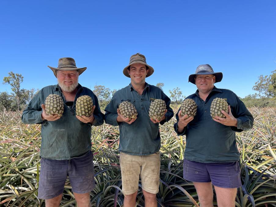 CHEEKY: Sunshine Coast pineapple growers, Gordon Oakes, David Oakes, and Murray Oakes supporting the new breast cancer campaign. 
