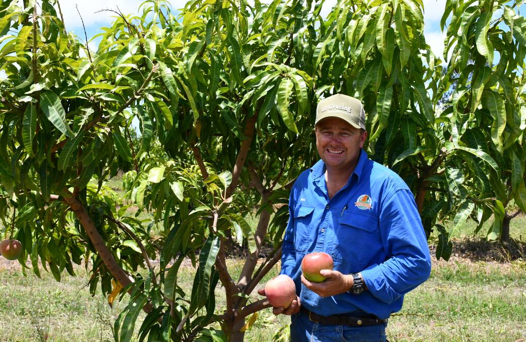 EAT UP: Brad Bowen, Sandy Cove Mango Plantation, west of Ayr, encourages consumers to eat plenty of mangoes this season.
