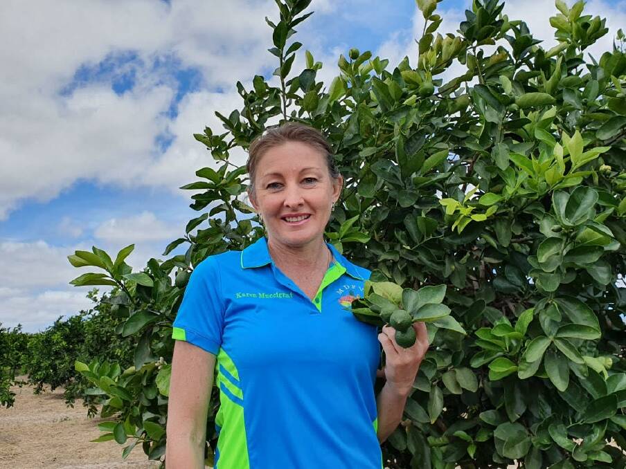 WAITING: Mutchilba lime grower of 32 years, Karen Muccignat say she believes Australian growers have been made the sacrificial lamb with the free trade agreement.