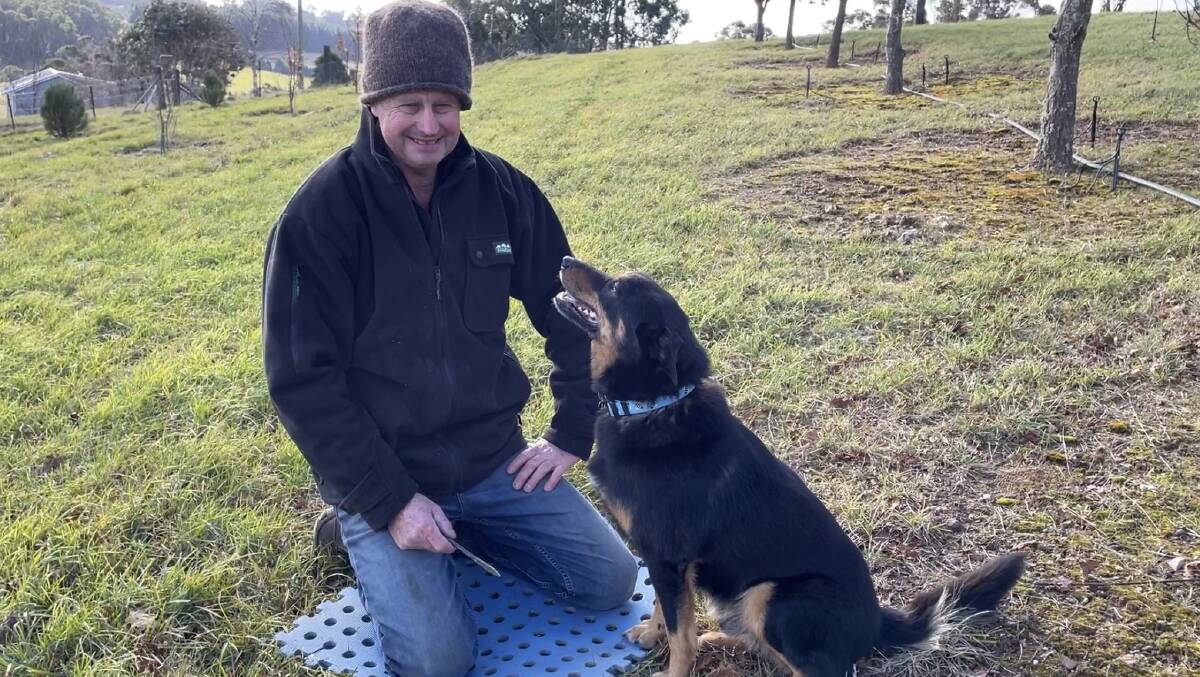 READY: Truffle farmer Simon Hedges with his truffle dog, Jimmy, at Duckmaloi River Truffles near Oberon in NSW on June 11, 2022. Picture: Saffron Howden