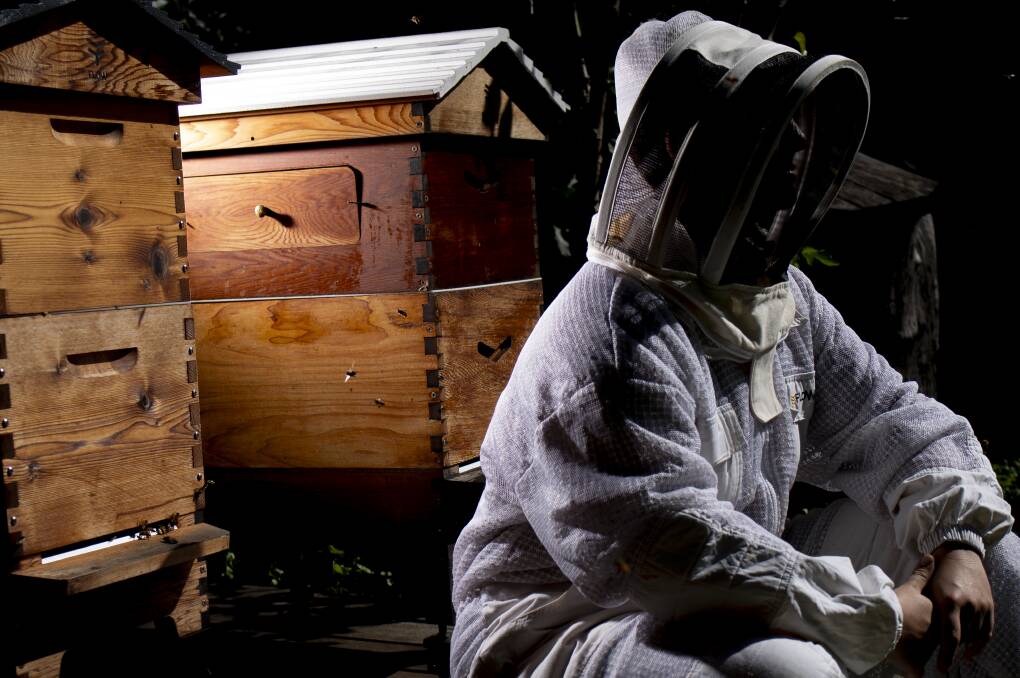 Queensland beekeepers are anxious about the future after the decision was made to move from eradication to management of varroa mite. Picture: Brandon Long