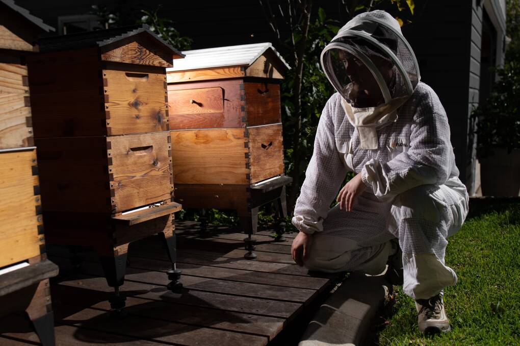 Lockyer Valley beekeeper Marina Elliott is encouraging fellow apiarists to conduct testing for varroa mite as data levels remain low. Pictures by Brandon Long