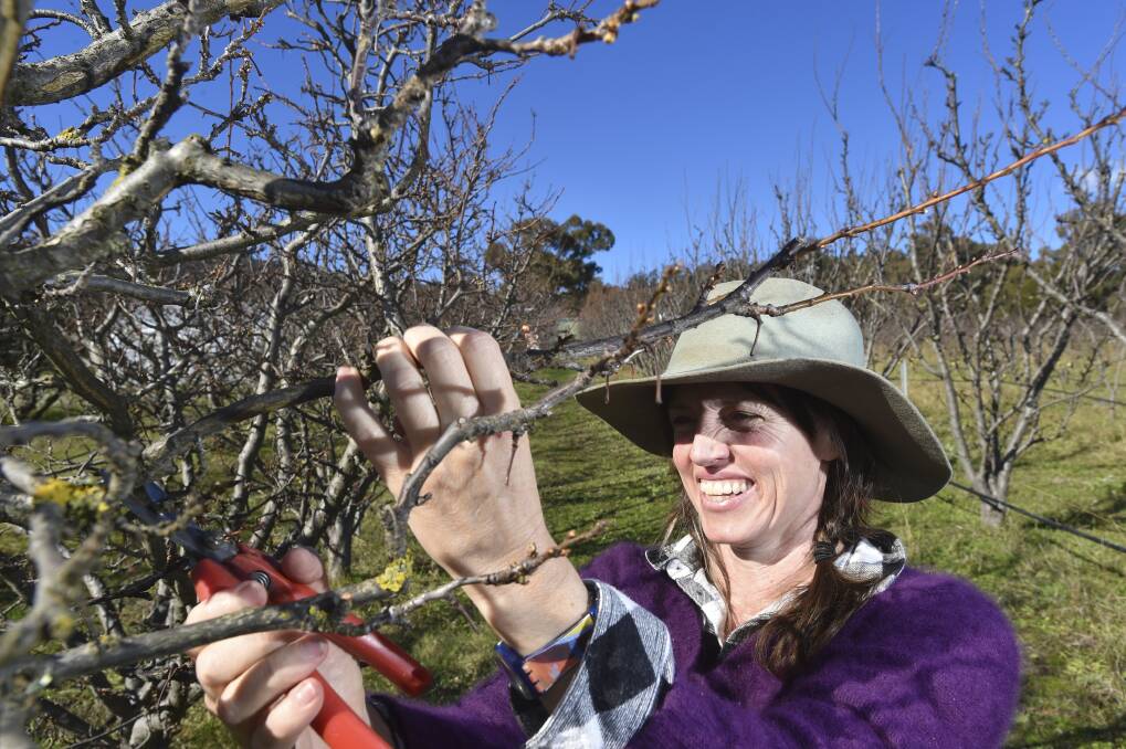 Ingrid Phyland has begun her career as an orchardist after working as a nutritionist. Picture by Noni Hyett