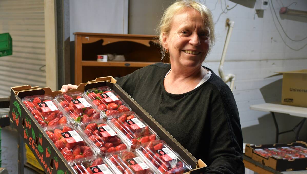 BUMPER: Ms Schultz has numerous strawberry products on offer, such as her freeze-dried strawberry power and the newest addition, strawberry honey, created with Hum Honey Sunshine Coast.