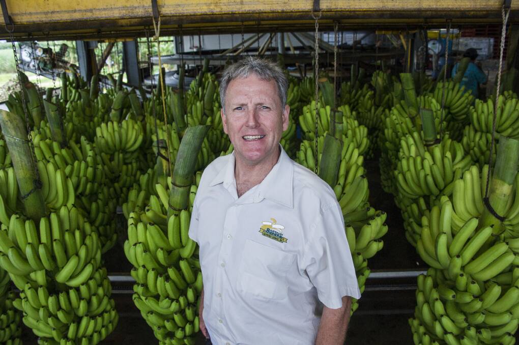 RETIRING: Australian Banana Growers' Council CEO Jim Pekin to retire after 11 years in the role. Picture: Australian Banana Growers' Council. 