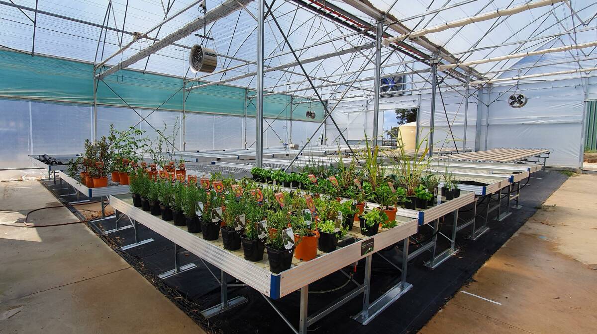 READY: The new hothouse at Shepparton GOTAFE will be established to meet a growing demand in horticulture courses.