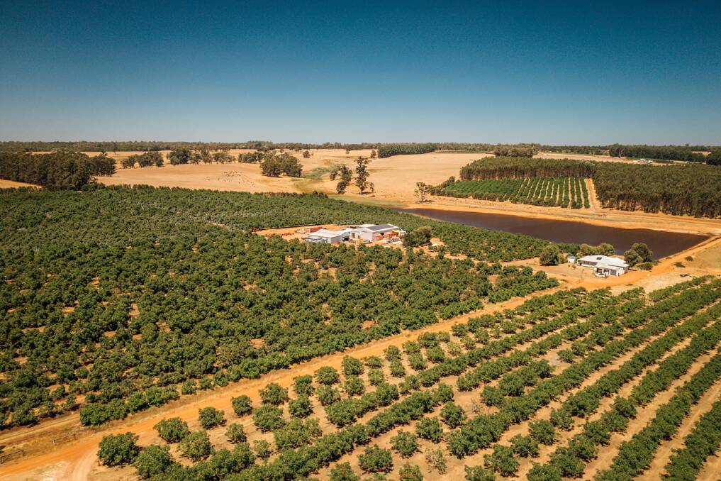 The Manjimup farm. Picture supplied