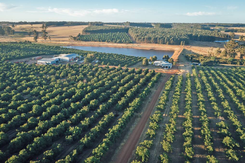 The Nannup farm is where it all began for the Williams family and is their country home. Five hectares are dedicated to producing their range of organic walnuts. Picture supplied