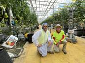 Costa Group's vertical farming's head grower technical research and development Tal Kanety, and Arugga AI's Nitzan Rotman, at Gyra, with one of the robotic pollinators. Pictures by Simon Chamberlain