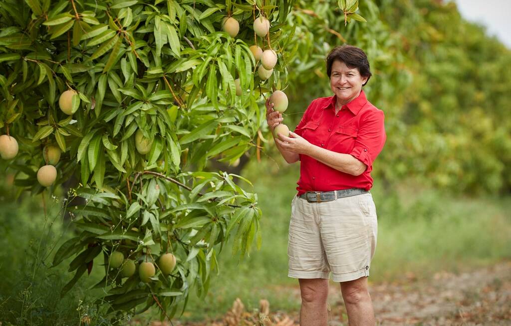 FUTURE: Marie Piccone attributes Manbulloo's growth and success over the past 14 years to the passion and dedication of her team, which boasts world-class knowledge, training and experience in mango growing, harvesting, export and supply chain management. Photo: Manbulloo Ltd.
