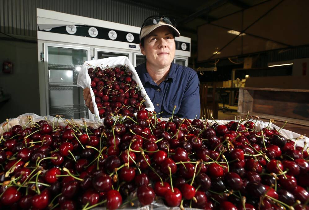 Grovelands Cherries owner Kristy Barton says the wet weather forecast and increased costs were part of the decision to close for the season. File picture