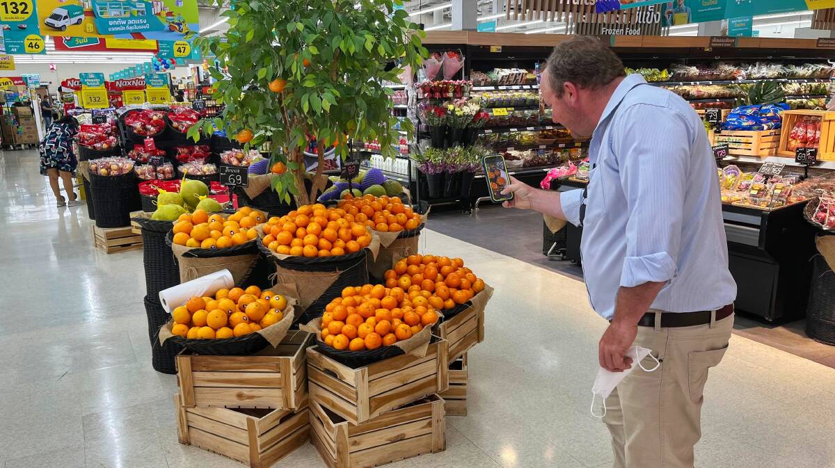 Citrus farmer Matt Benham captures his fruit on display in Thailand. Picture by Rachel Benham