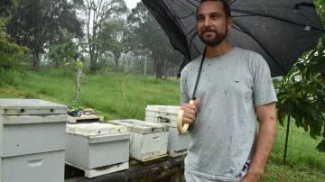 Doug Cannon is making progress after spending four years developing a species of Varroa mite-resilient bees. Picture by Steph Allen