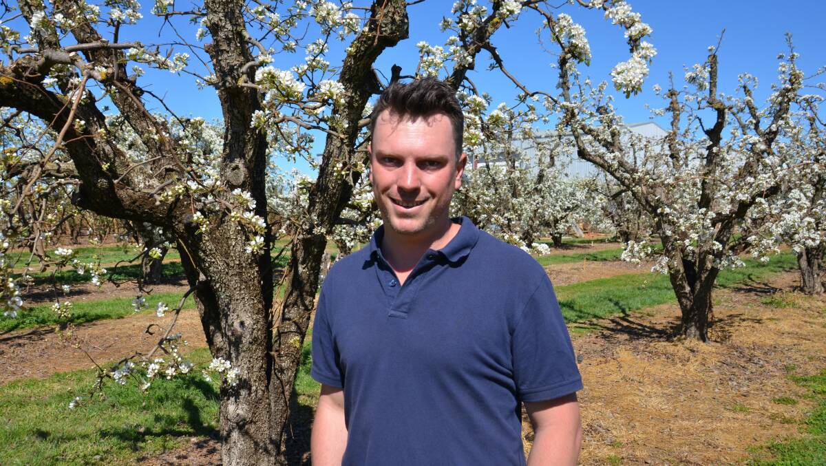 Fruit Growers Victoria chair Mitchell McNab. Picture supplied