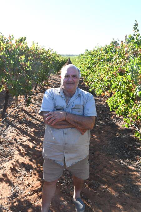 Cooltong winegrape grower Jack Papageorgiou believes exit packages and support to transition to other commodities need to be among a suite of support measures. Picture by Quinton McCallum.