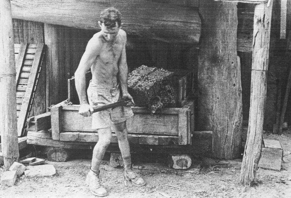 HARD LABOUR: A vintage worker shovels the residue of crushed grape skins and seeds from the log press.