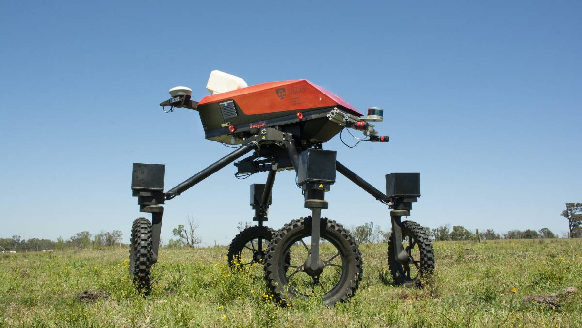 CHASING CATTLE: The Agerris Swagbot is moving through development phase having recently passed its endurance testing. 