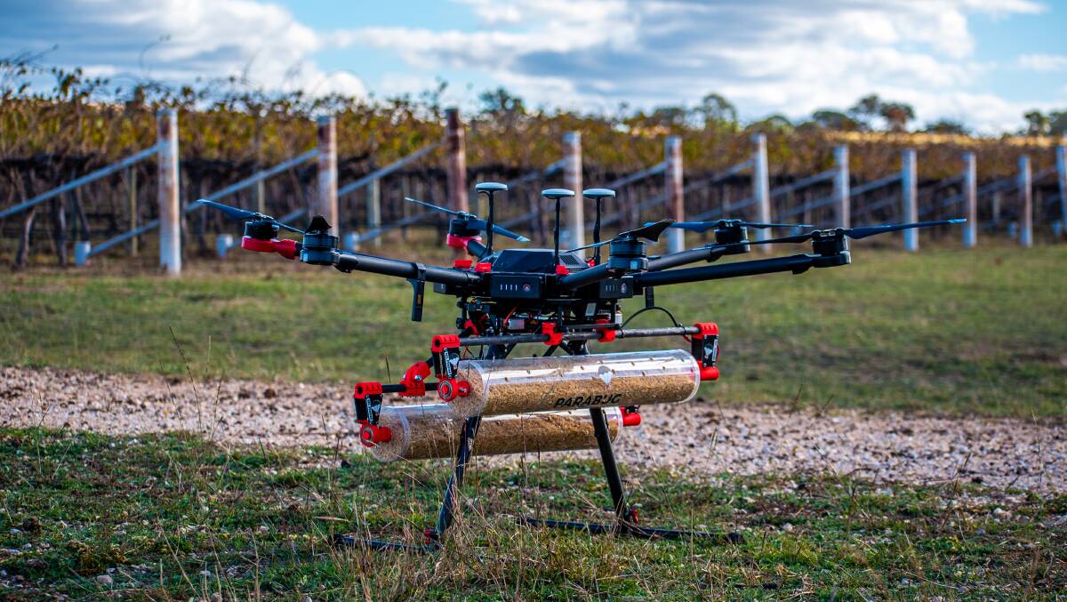SKYWARD: The Parabug drone about to launch in a vineyard. Photo: Parabug.