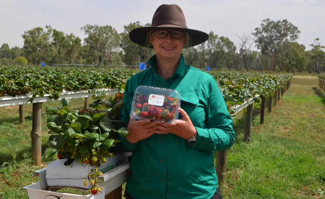 Kylie Cashen proudly displaying a punnet of strawberries grown in the elevated beds behind her. “We wanted to have something locals could showoff to their visitors, and the response has exceeded our expectations,” Mrs Cashen said.