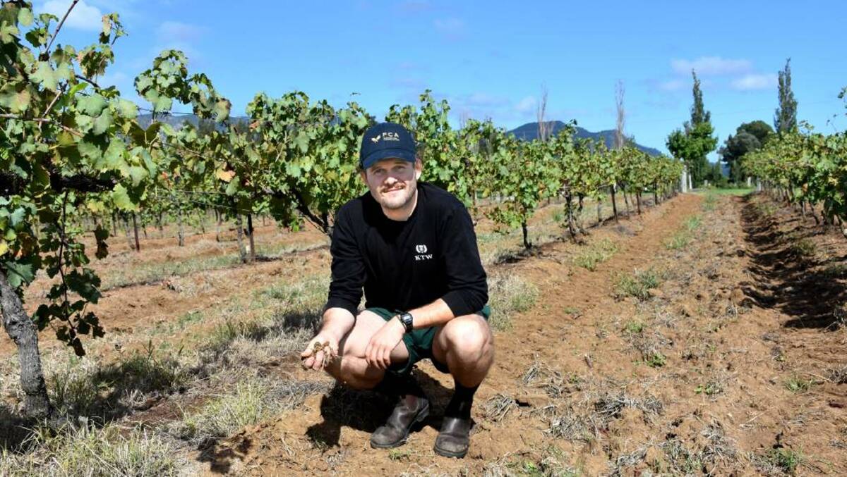 NEUTRAL: Alisdair Tulloch, Keith Tulloch Winery, Pokolbin is focused on the benefits of an energy efficient and carbon neutral winery. Photo: Louise Nichols, The Singleton Argus 