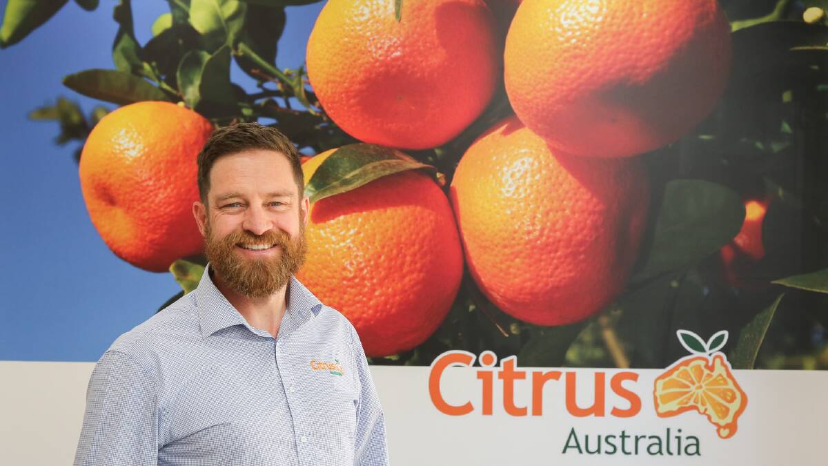 CONCERNED: Nathan Hancock, CEO Citrus Australia - 'We are particularly concerned that any suggestion that fresh fruit juice is unhealthy will have a detrimental health effect on the community.' Photo: Citrus Australia
