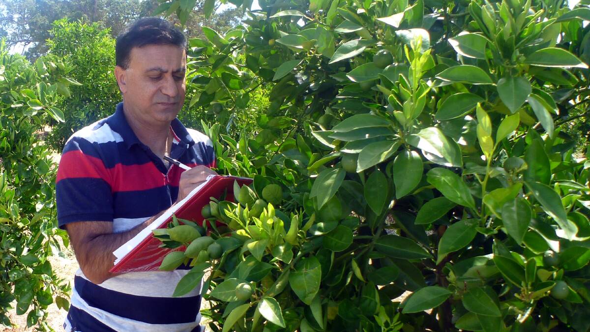 Dr Tahir Khurshid will present his research in Leeton this Tuesday 1 May at the Citrus Australia 2018 Citrus Juice Forum. Photo: supplied
