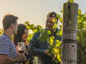 Hope Estate founders Michael and Karen Hope and son, Sam, in their Hunter Valley vineyards at Pokolbin. 