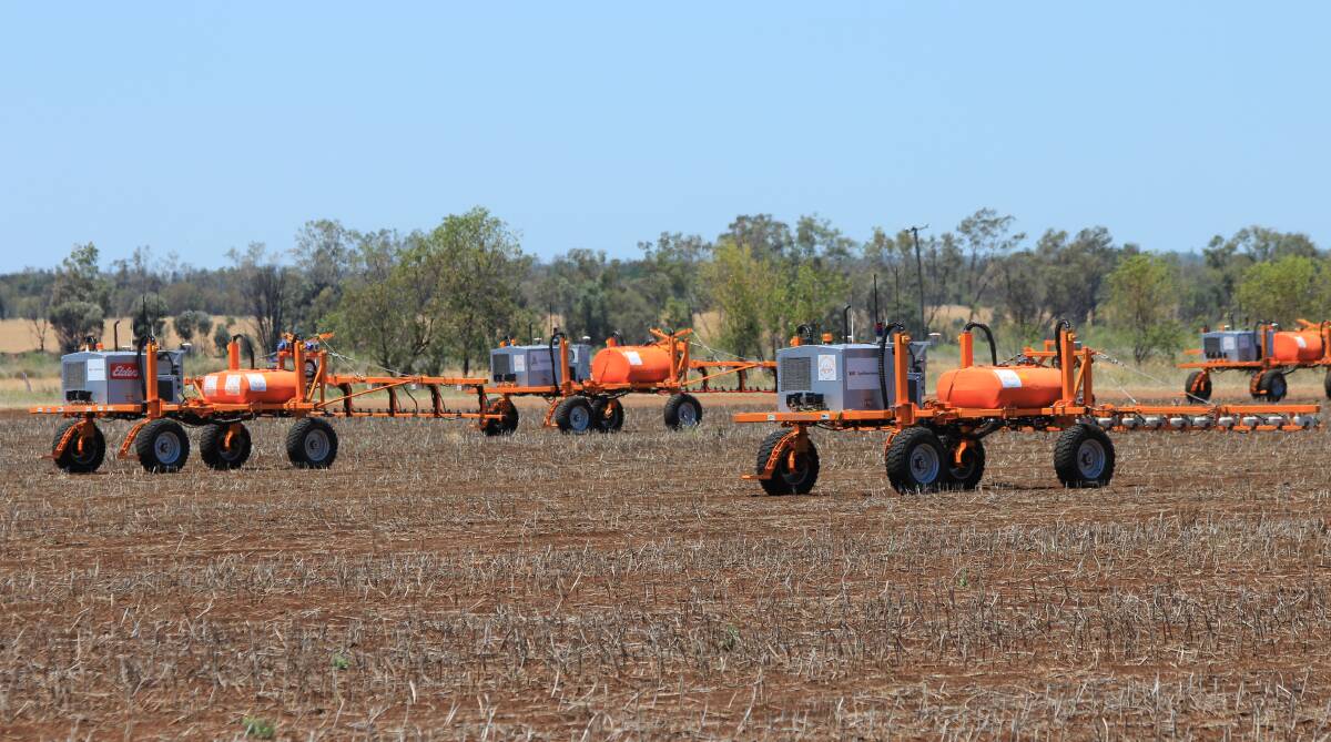 NOT SO BIG: SwarmFarm's autonomous Swarmbots at work on a weed spraying mission near Emerald in Queensland. 