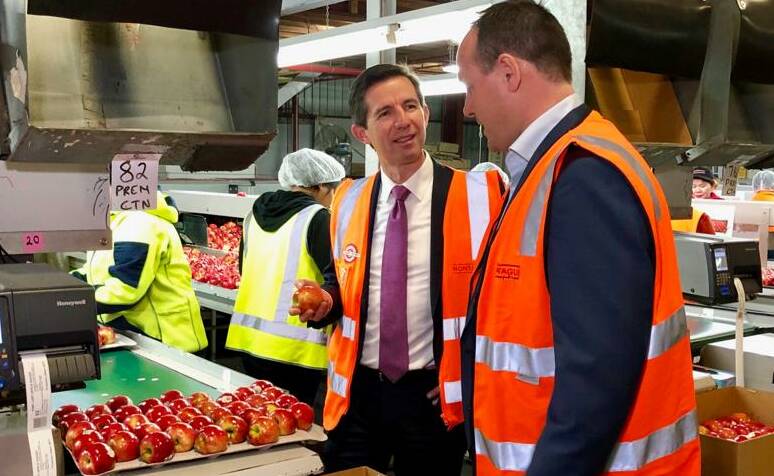 CAUTION: Trade minister, Simon Birmingham, at an Australian fruit export packing plant.
