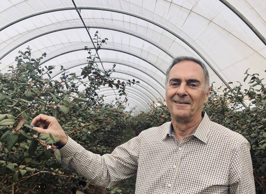 RIPE: Primewest real estate investment group founding director, David Schwartz, is picking new opportunities in agriculture.