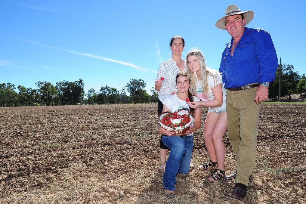 The Cashen family Brooklyn (16), Kylie, Lawanna (19) and Michael hope to create a pick-your-own strawberry farm. Picture: Kieren L Tilly
