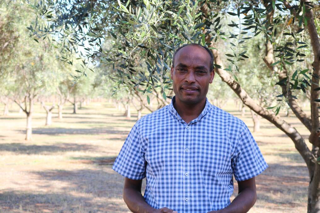 PROMISING OUTCOME: Dr Ketema Zeleke, an irrigation and water management expert with the CSU School of Agricultural and Wine Sciences and Graham Centre for Agricultural innovation.