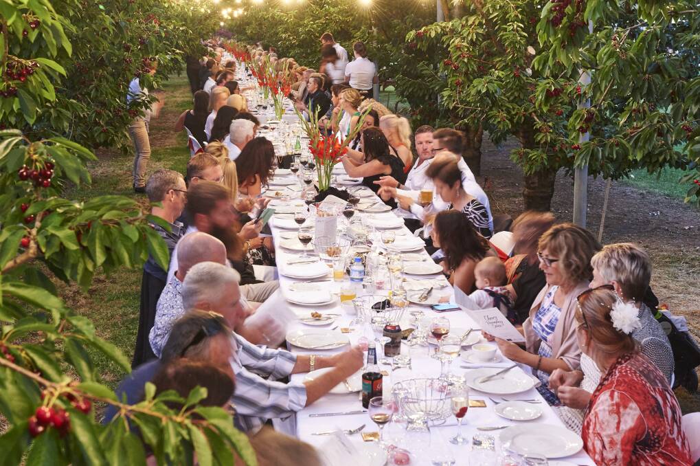 TUCK IN: The main event is different this year. Instead of being the previous Southern Forests Long Table experience, this year attendees can enjoy a gourmet picnic with the Cherry and White event. There are various options to suit different preferences and budgets.