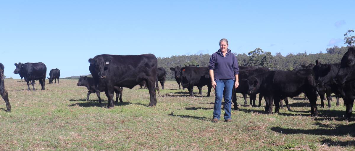 ON FARM: Lisa Roche with some of the family's Angus breeders at Pemberton.
