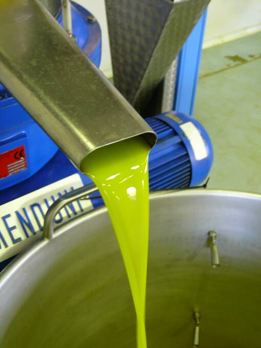 POURING: Some of the extra virgin olive oil during the processing stage.