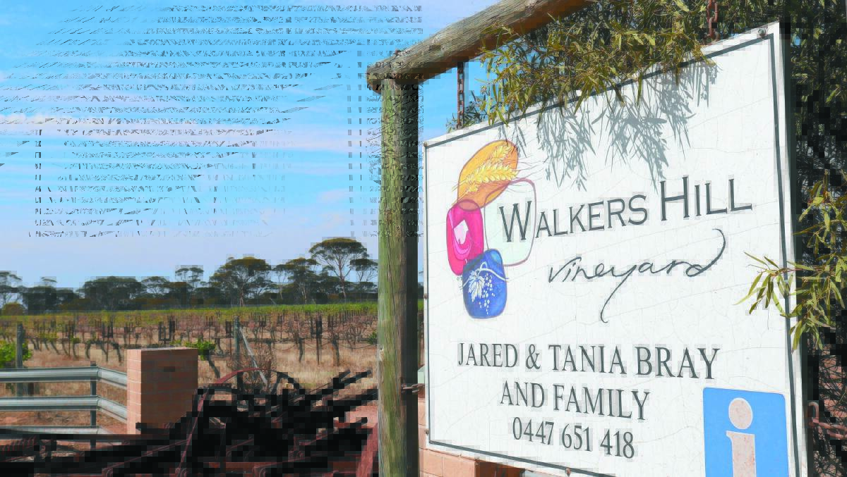 LOCATION: Walkers Hill is not in a typical wine-producing region and is located at Lake Grace a region better known for traditional farming.