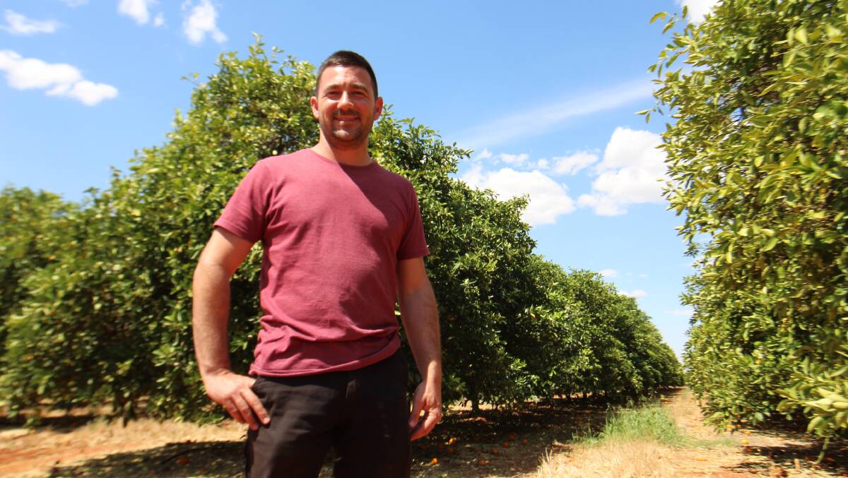 UPWARD: Griffith and District Citrus Growers Association secretary, Vito Mancini, said things were looking up this season for citrus growers. Picture: Jacinta Dickins